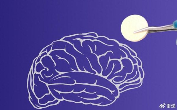 配资炒股就找配资 长弘生物冲刺好意思股：年亏空229万好意思元