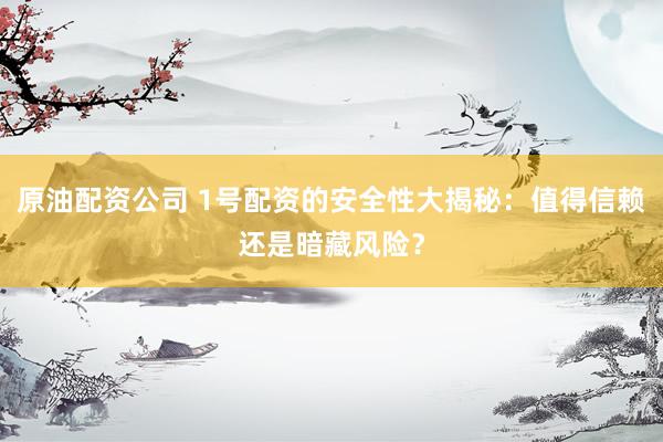 原油配资公司 1号配资的安全性大揭秘：值得信赖还是暗藏风险？