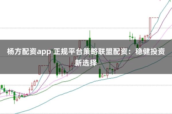 杨方配资app 正规平台策略联盟配资：稳健投资新选择