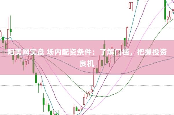 阳美网实盘 场内配资条件：了解门槛，把握投资良机