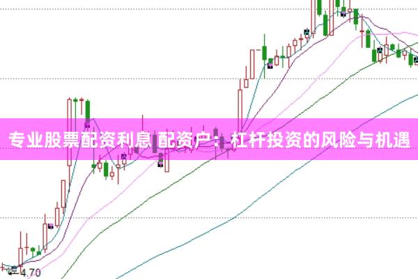 专业股票配资利息 配资户：杠杆投资的风险与机遇