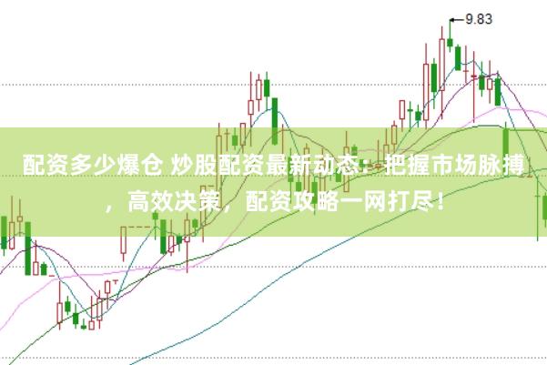 配资多少爆仓 炒股配资最新动态：把握市场脉搏，高效决策，配资攻略一网打尽！