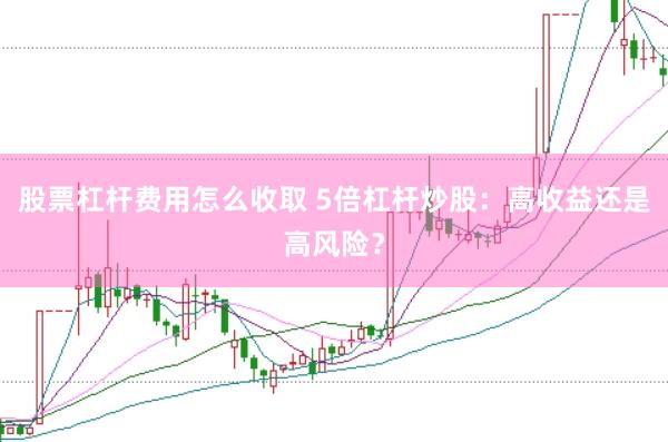 股票杠杆费用怎么收取 5倍杠杆炒股：高收益还是高风险？
