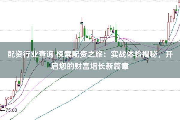 配资行业查询 探索配资之旅：实战体验揭秘，开启您的财富增长新篇章