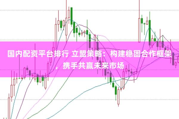 国内配资平台排行 立盟策略：构建稳固合作框架，携手共赢未来市场