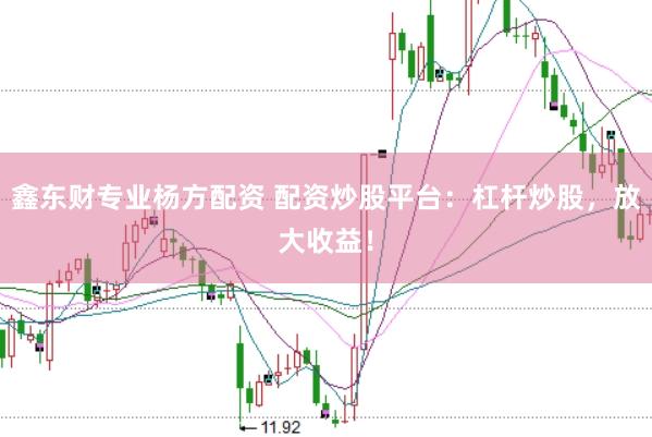 鑫东财专业杨方配资 配资炒股平台：杠杆炒股，放大收益！