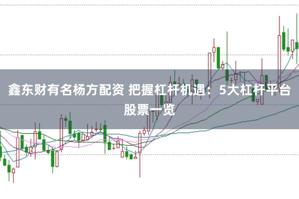 鑫东财有名杨方配资 把握杠杆机遇：5大杠杆平台股票一览
