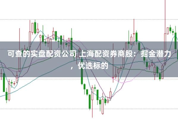 可查的实盘配资公司 上海配资券商股：掘金潜力，优选标的