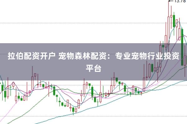 拉伯配资开户 宠物森林配资：专业宠物行业投资平台