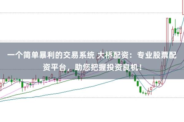 一个简单暴利的交易系统 大桥配资：专业股票配资平台，助您把握投资良机！