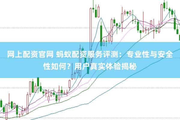 网上配资官网 蚂蚁配资服务评测：专业性与安全性如何？用户真实体验揭秘