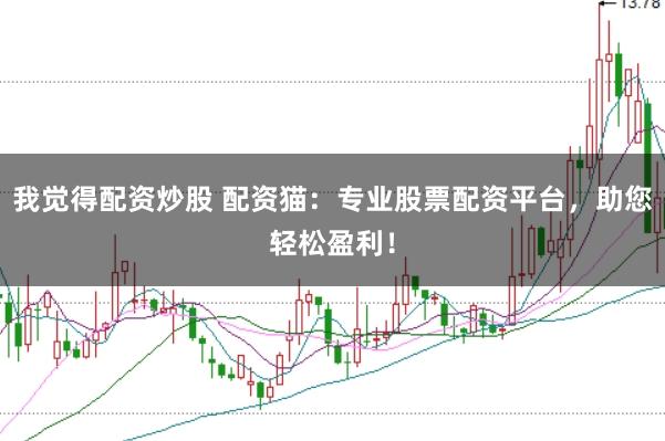 我觉得配资炒股 配资猫：专业股票配资平台，助您轻松盈利！