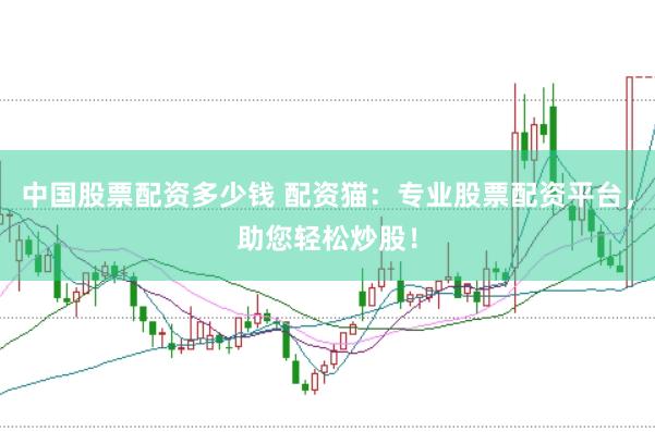 中国股票配资多少钱 配资猫：专业股票配资平台，助您轻松炒股！