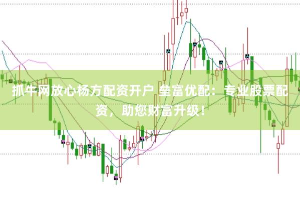 抓牛网放心杨方配资开户 垒富优配：专业股票配资，助您财富升级！