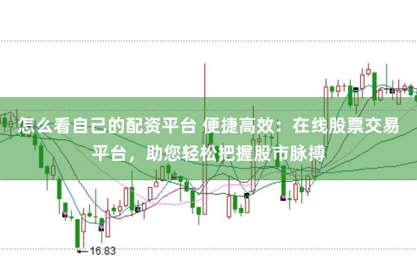 怎么看自己的配资平台 便捷高效：在线股票交易平台，助您轻松把握股市脉搏