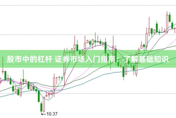 股市中的杠杆 证券市场入门指南：了解基础知识
