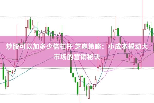 炒股可以加多少倍杠杆 芝麻策略：小成本撬动大市场的营销秘诀