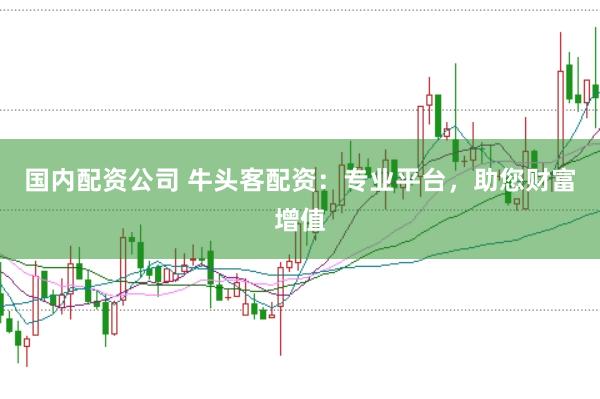 国内配资公司 牛头客配资：专业平台，助您财富增值