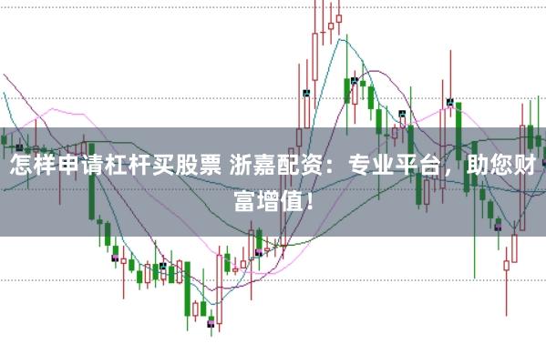 怎样申请杠杆买股票 浙嘉配资:专业平台,助您财富增值!
