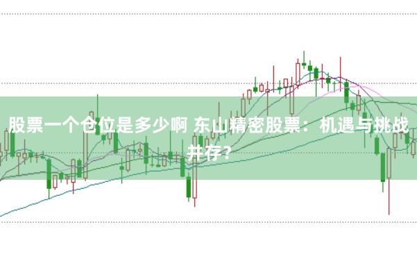 股票一个仓位是多少啊 东山精密股票：机遇与挑战并存？