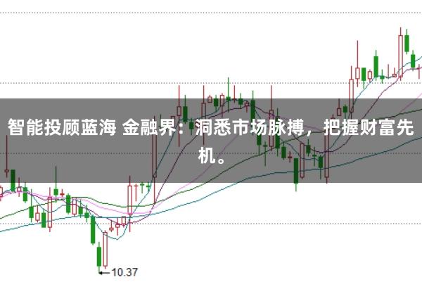 智能投顾蓝海 金融界：洞悉市场脉搏，把握财富先机。