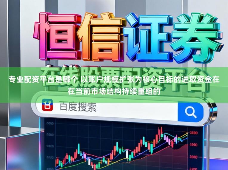 专业配资平台是哪个 以账户规模扩张为核心目标的进取资金在在当前市场结构持续重组的
