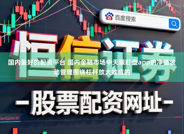 国内最好的配资平台 国内金融市场中天眼盯盘app的净值波动管理围绕杠杆放大效应的