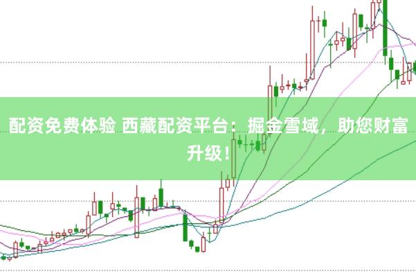 配资免费体验 西藏配资平台：掘金雪域，助您财富升级！
